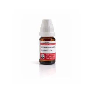 Chelidonium Majus 10ml homeopathic dilutions and mother tincture bottle or pack on white background