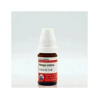 Vespa Crabro 10ml liquid homeopathic dilution bottle or pack on white background