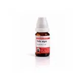 Salix Nigra 10ml liquid homeopathic dilution bottle or pack on white background