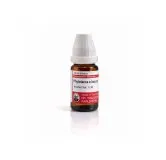 Phytolacca E Baccis mixed pack formats homeopathic dilutions and tablets bottle or pack on white background