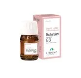 L-88 Euphorbium Complex 30 ml Drops by Lehning Laboratories, product package on white background