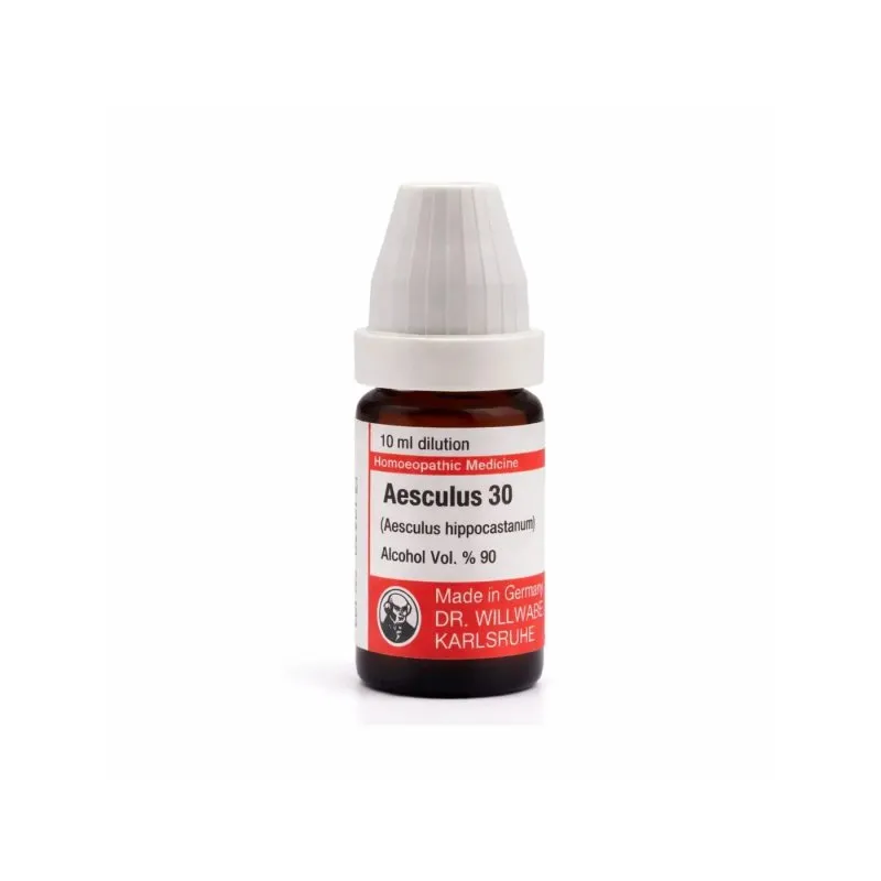 Aesculus Hippocastanum - Aesculus 10ml homeopathic dilutions and mother tincture bottle or pack on white background