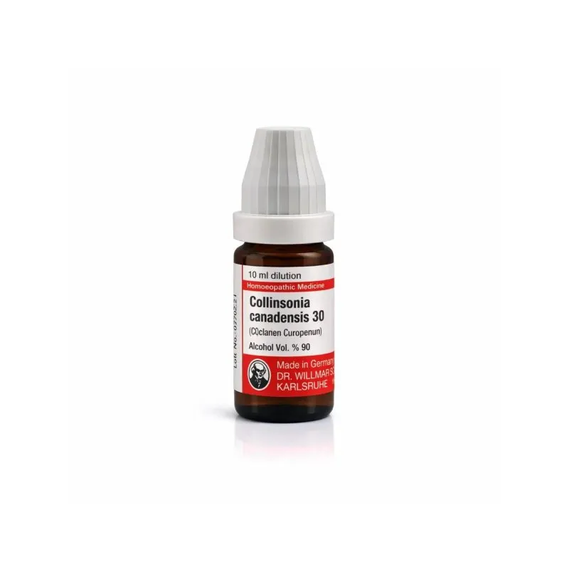 Collinsonia Canadensis 10ml homeopathic dilutions and mother tincture bottle or pack on white background