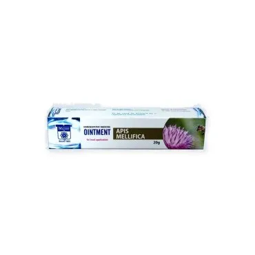 Apis Mellifica Ointment 20 g by Dr. Masood, original packaging on a white background