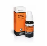 Syzygium Schwabe homeopathic drops 20 ml bottle and box on white background