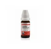 Ceanothus Americanus 10ml homeopathic dilutions and mother tincture bottle or pack on white background