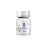 Kalium Phosphoricum by Dr Zia Pharma, product pack centered on a white background