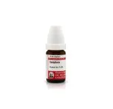 Camphora 10ml homeopathic dilutions and mother tincture bottle or pack on white background