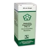 Aesculus Pentarkan Ptk. 3 20ml Drops by Dr. Willmar Schwabe, original homeopathic packshot on white background