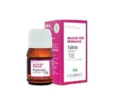 L-18 Kalmia Complex 30 ml Drops by Lehning Laboratories, product package on white background