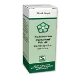 Echinacea Pentarkan Ptk. 42 20ml Drops by Dr. Willmar Schwabe, original homeopathic packshot on white background