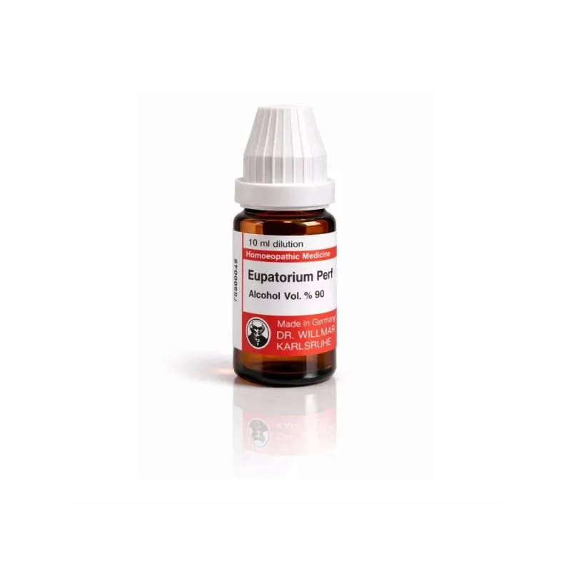 Eupatorium Perf 10ml homeopathic dilutions and mother tincture bottle or pack on white background
