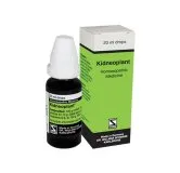 Kidneoplant Drops 20ml by Dr. Willmar Schwabe, product packaging on a white background