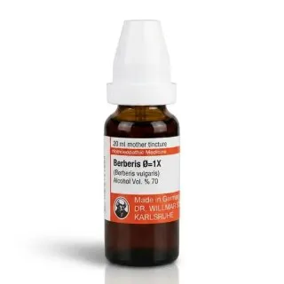 Dr. Willmar Schwabe Berberis Vulgaris Q 1X mother tincture 20 ml bottle on white background