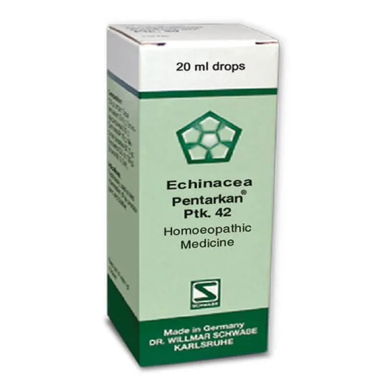 Echinacea Pentarkan Ptk. 42 20ml Drops by Dr. Willmar Schwabe, original homeopathic packshot on white background