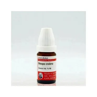 Vespa Crabro 10ml liquid homeopathic dilution bottle or pack on white background