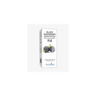 Black Raspberry Sprouts Extract product packaging on a white background