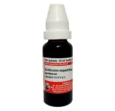 Echinacea Angustifolia Q Schwabe 20 ml mother tincture bottle on white background