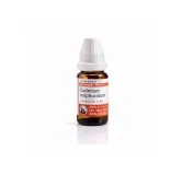Cadmium Sulphuratum 10ml liquid homeopathic dilution bottle or pack on white background