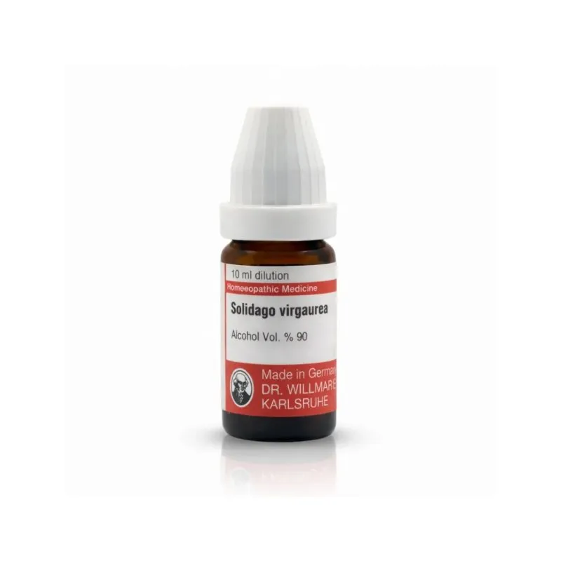 Solidago Virgaurea 10ml homeopathic dilutions and mother tincture bottle or pack on white background