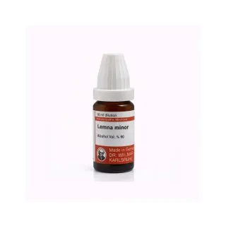 Lemna Minor 10ml homeopathic dilutions and mother tincture bottle or pack on white background