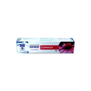 Echinacea Ointment 20 g by Dr. Masood, original packaging on a white background
