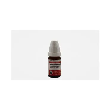 Arum Triphyllum 10ml homeopathic dilutions and mother tincture bottle or pack on white background