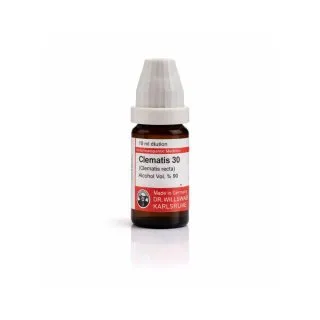 Clematis Recta 10ml homeopathic dilutions and mother tincture bottle or pack on white background