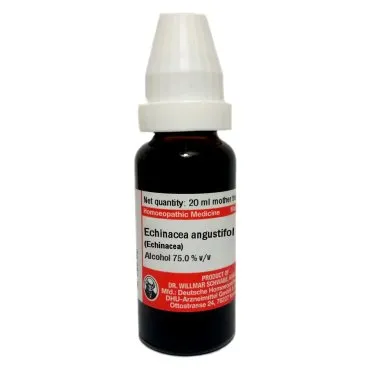 Echinacea Angustifolia Q Schwabe 20 ml mother tincture bottle on white background