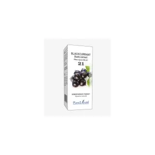 Blackcurrant Buds Extract product packaging on a white background