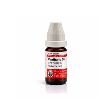 Cantharis 10ml homeopathic dilutions and mother tincture bottle or pack on white background