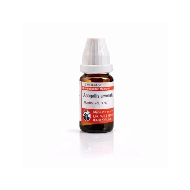 Anagallis Arvensis 10ml liquid homeopathic dilution bottle or pack on white background