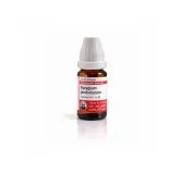 Syzygium Jambolanum 10ml homeopathic dilutions and mother tincture bottle or pack on white background