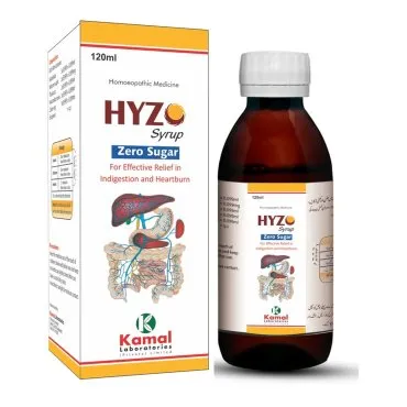 Hyzo Syrup (Sugar free), Kamal Laboratories product pack on a white background