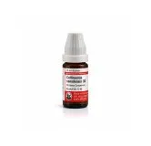 Collinsonia Canadensis 10ml homeopathic dilutions and mother tincture bottle or pack on white background