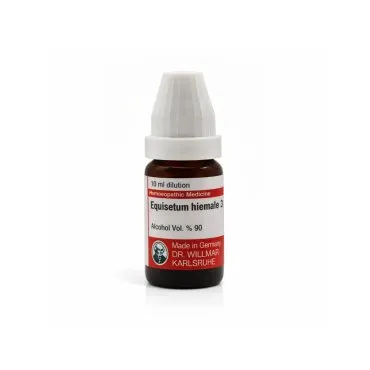 Equisetum Hiemale 10ml homeopathic dilutions and mother tincture bottle or pack on white background