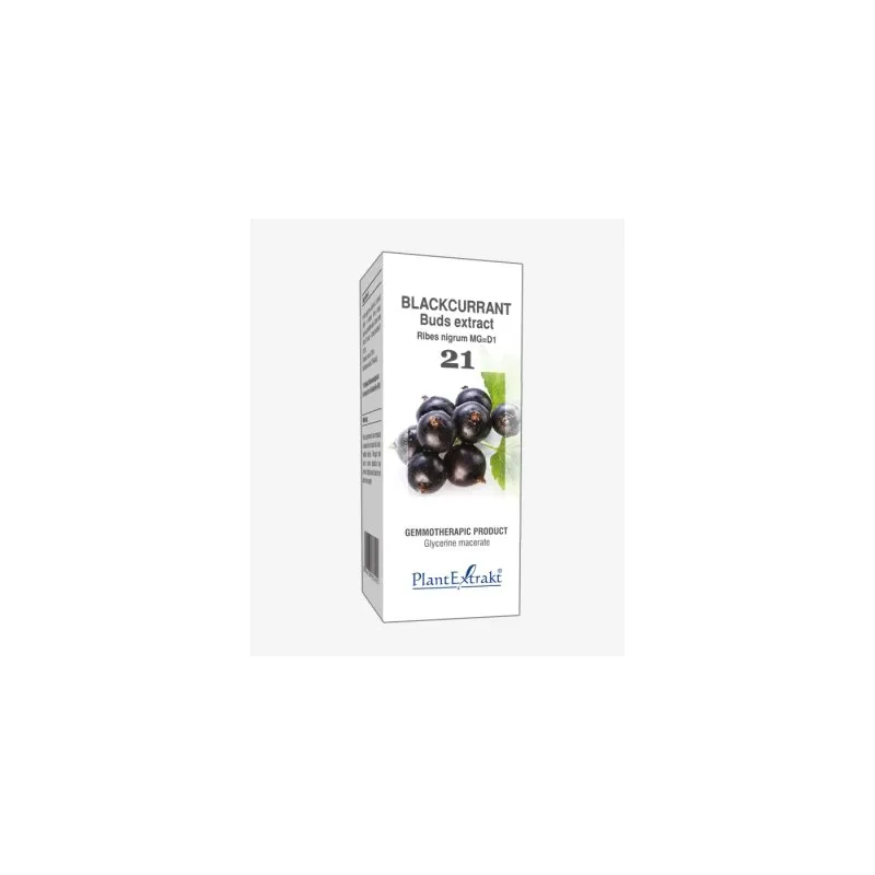 Blackcurrant Buds Extract product packaging on a white background