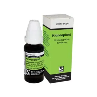 Kidneoplant Drops 20ml by Dr. Willmar Schwabe, product packaging on a white background