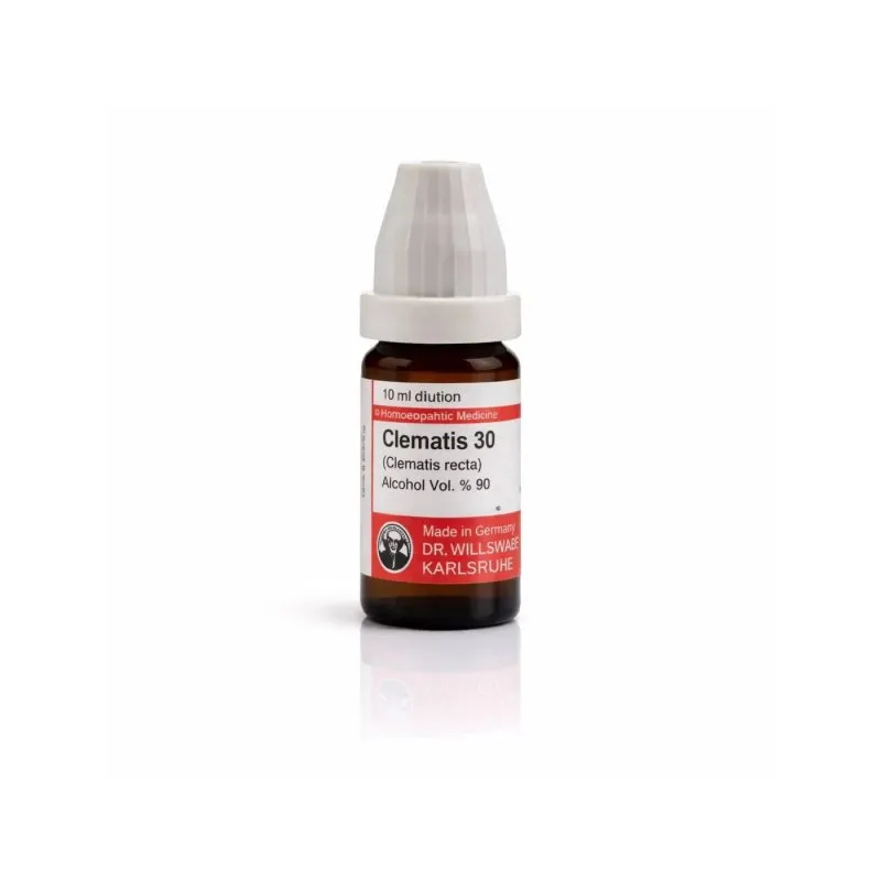 Clematis Recta 10ml homeopathic dilutions and mother tincture bottle or pack on white background