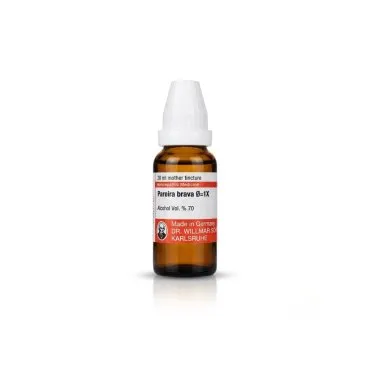 Pareira Brava 20ml mother tincture bottle or pack on white background
