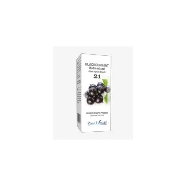 Blackcurrant Buds Extract product packaging on a white background