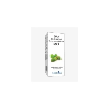 Oak Buds Extract product packaging on a white background