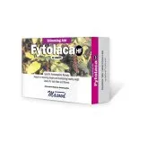 Fytolaca HF Tablets by Dr. Masood, original product packaging on a white background