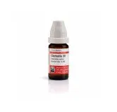 Clematis Recta 10ml homeopathic dilutions and mother tincture bottle or pack on white background