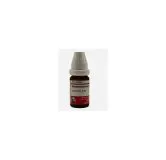Abelmoschus 10ml liquid homeopathic dilution bottle or pack on white background