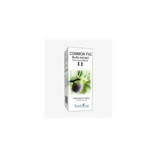 Common Fig Buds Extract product packaging on a white background