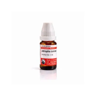 Jatropha Curcas 10ml liquid homeopathic dilution bottle or pack on white background