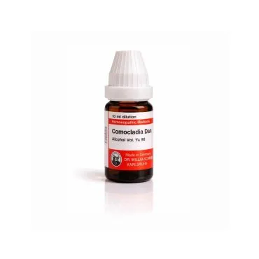 Comocladia Dan 10ml liquid homeopathic dilution bottle or pack on white background