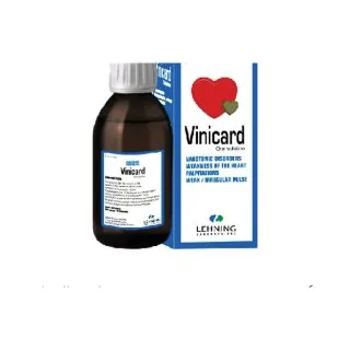 Vinicard 250 ml Syrup by Lehning Laboratories, product package on white background