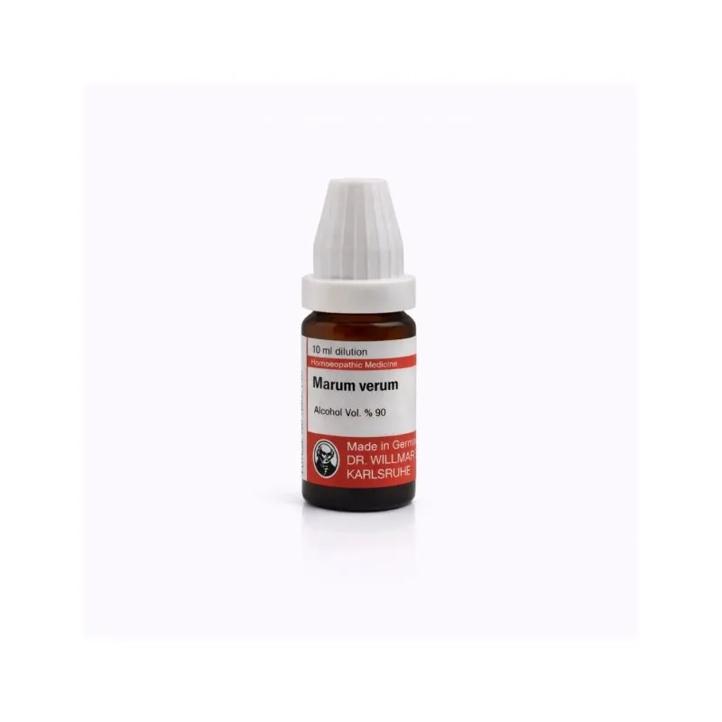 Teucrium Marum Verum 10ml homeopathic dilutions and mother tincture bottle or pack on white background
